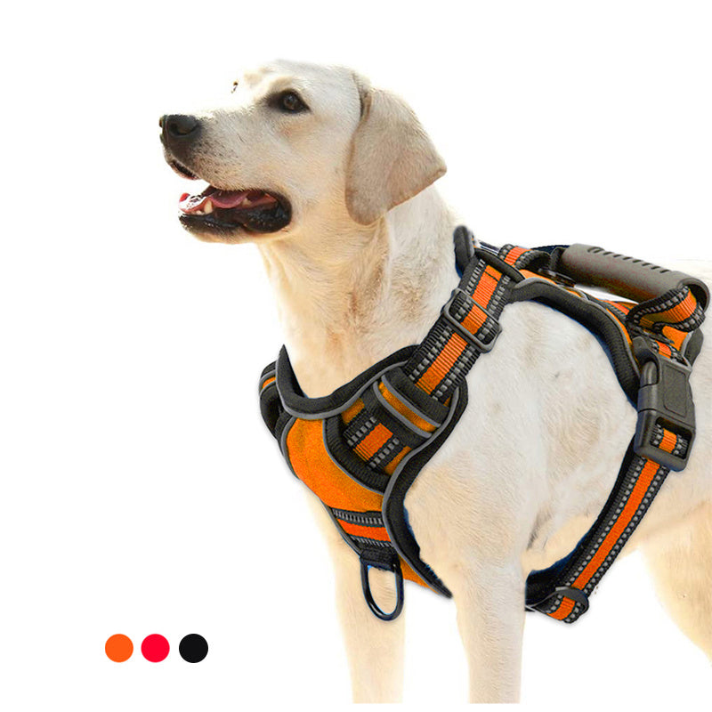 No-Pull Dog Harness – Comfy, Secure, Reflective Walks